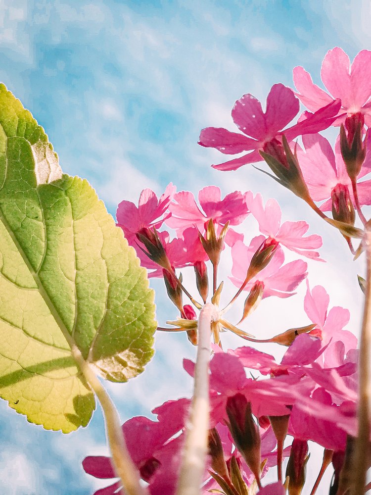 Photograph by Анастасия Сахаревич