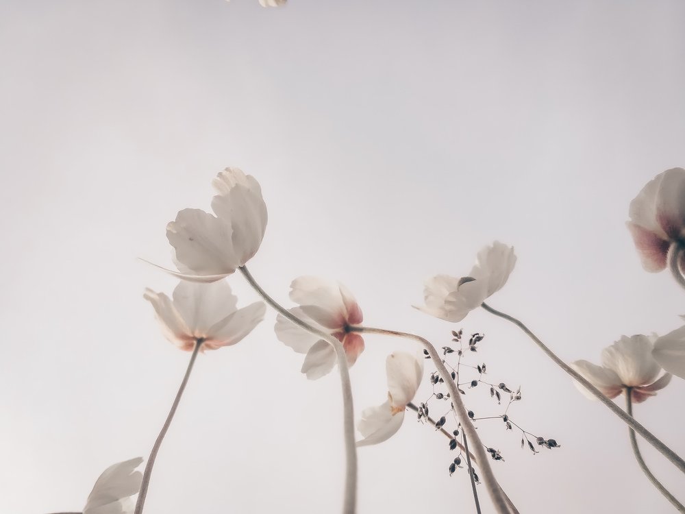 Photograph by Анастасия Сахаревич