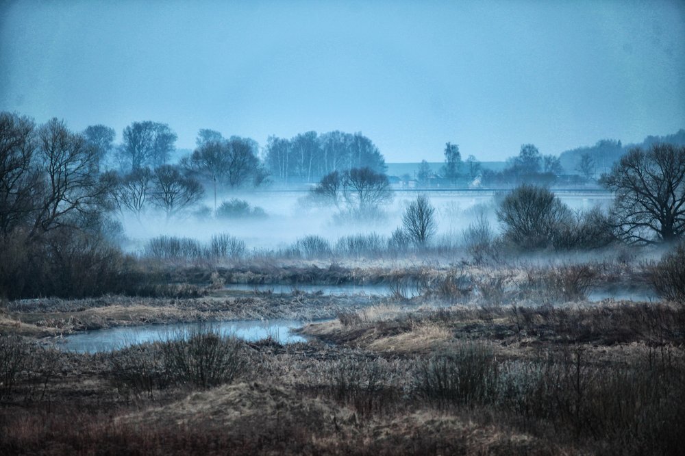 Photograph by Владимир Шуба