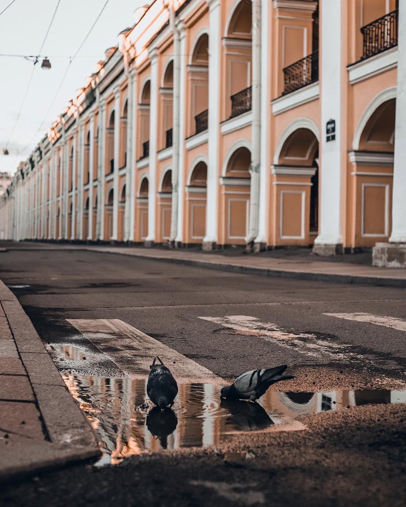 Photograph by Анастасия Гончарова