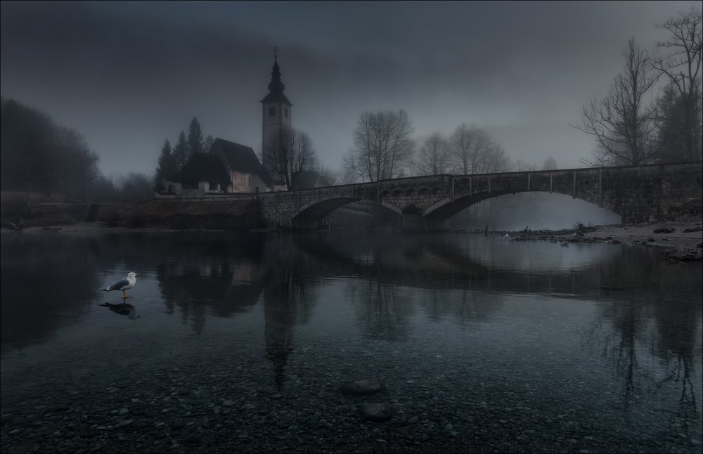 Пейзаж с чайкой