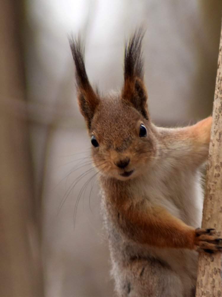 Photograph by Виктор Бурмистров