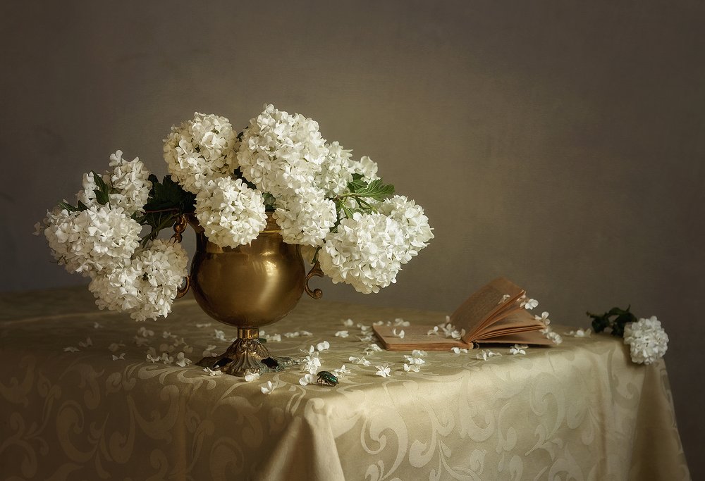 пышное цветение Бульденежа