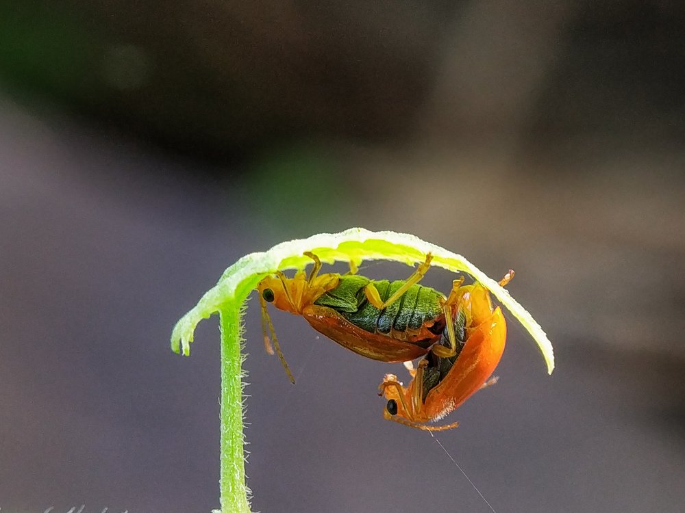 Photograph by Sourav Sakhari