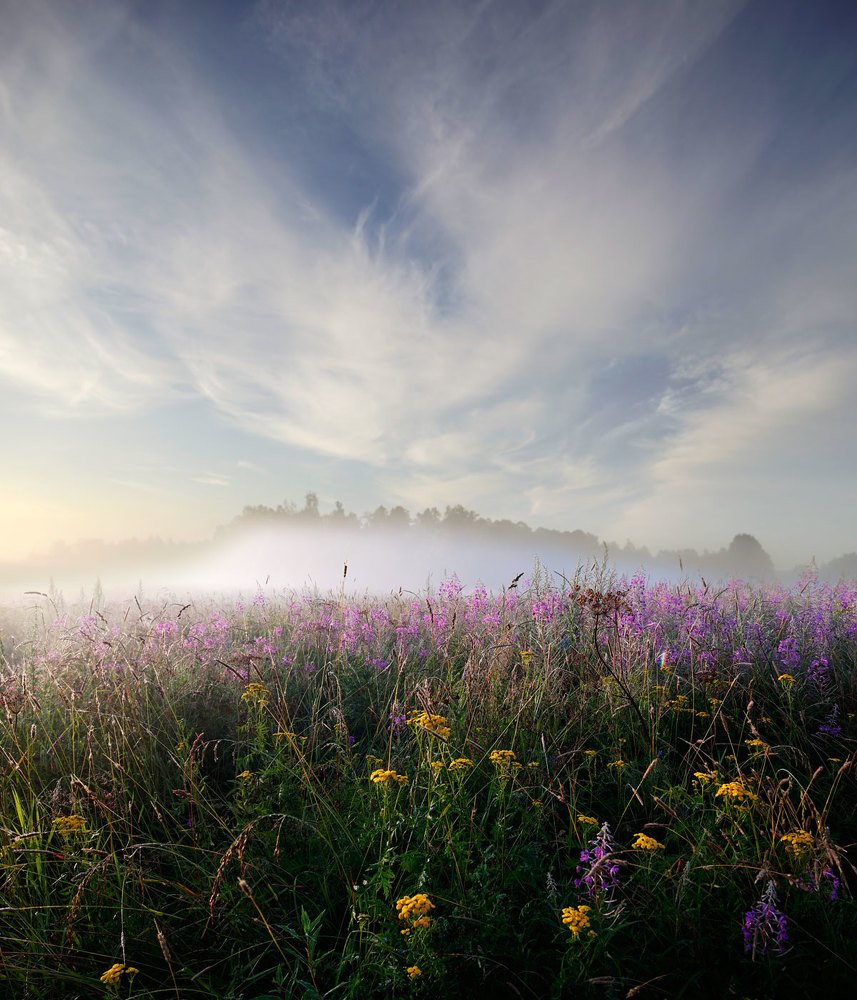 Фотография автора Василий Рябовол