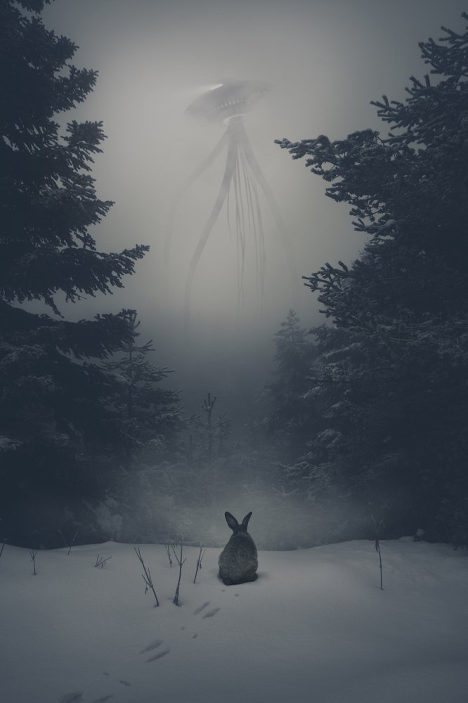 Photograph by Özkan Durakoglu