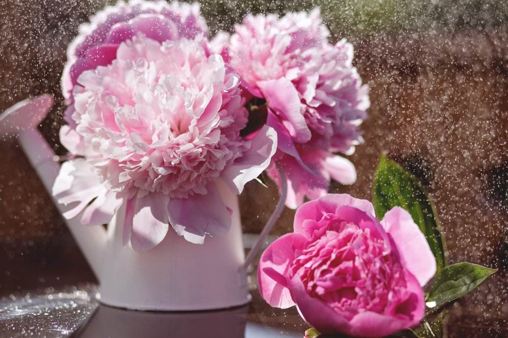 Photograph by Ирина Лыбо