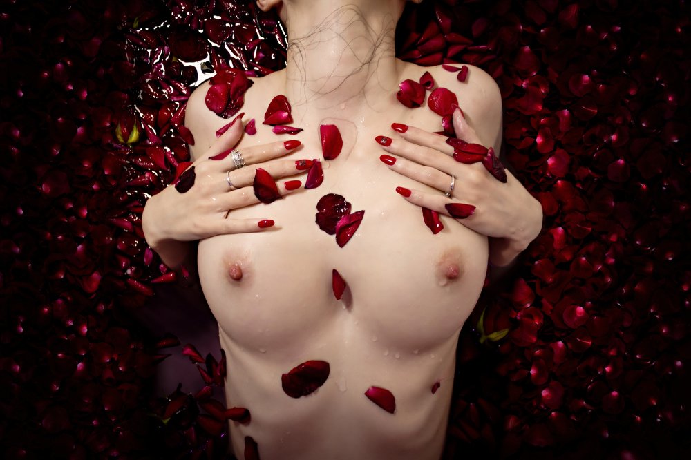 Miss Rose (Rosebud)