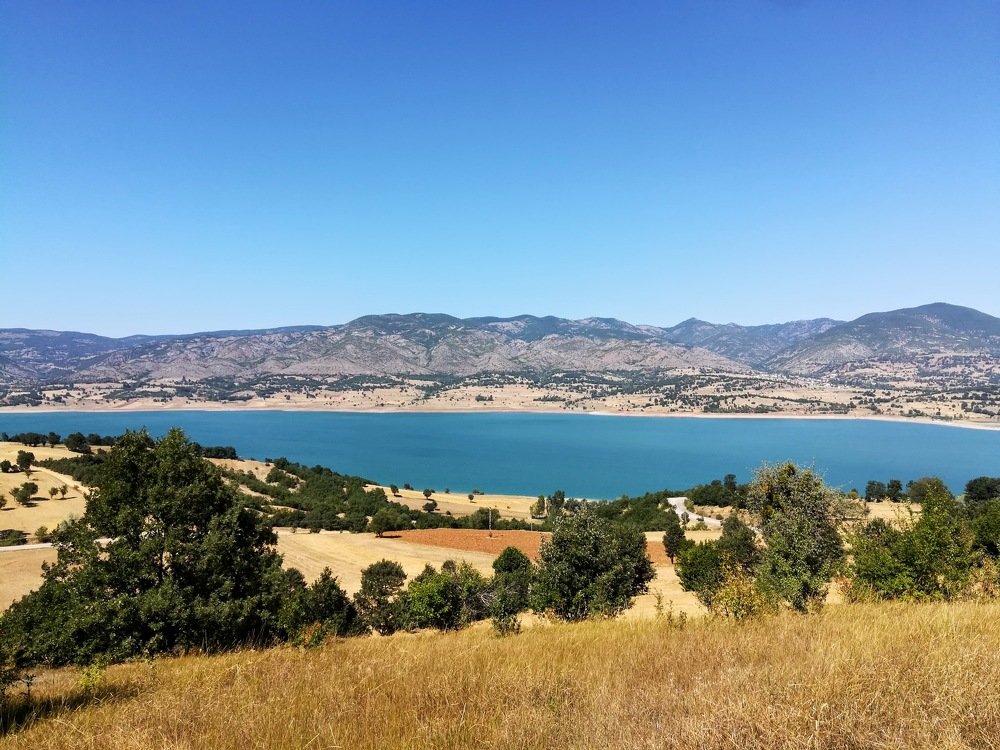 Photo #4692705
