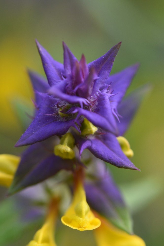 Photograph by Семен Батов