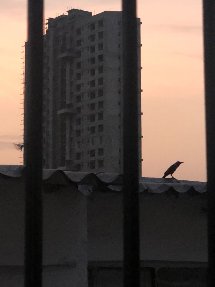 Photograph by Suvodeep Soo