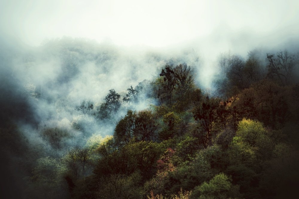 Photograph by Vahid Yavari