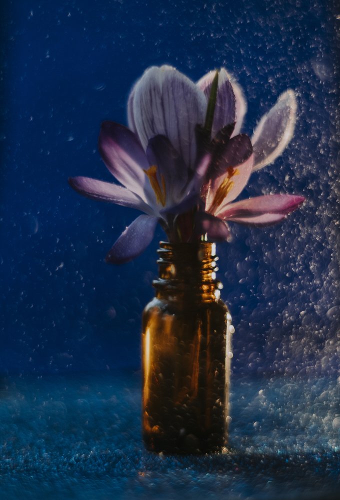 Photograph by Стоянова-Тимбукту Мария