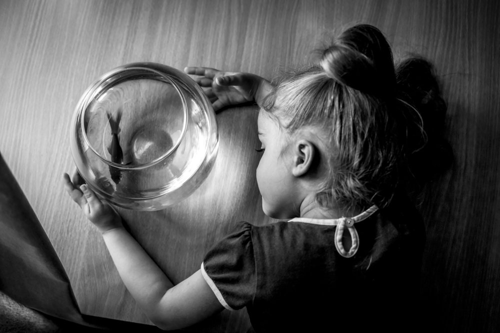 Photograph by Екатерина Нефедова