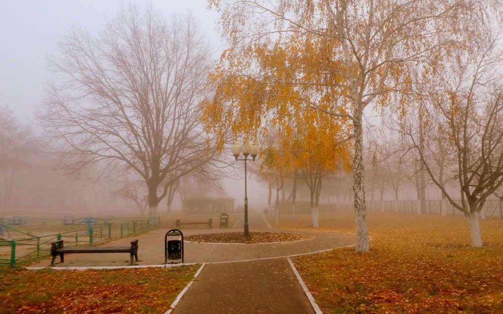 Photograph by Жанна Валиева