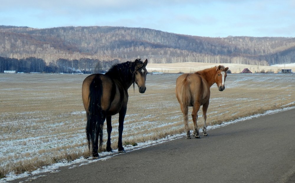 Photograph by Жанна Валиева