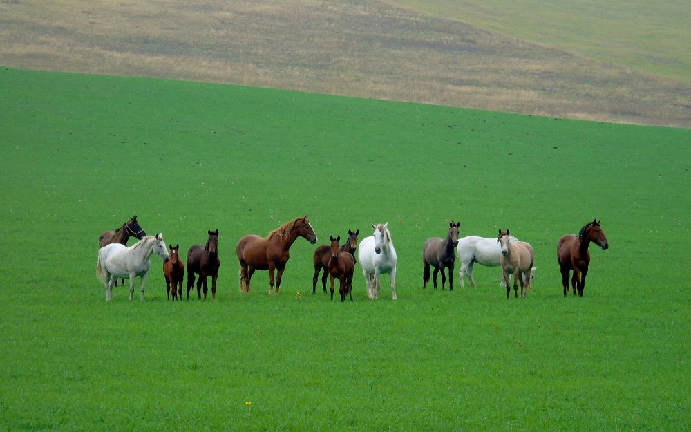 Photograph by Жанна Валиева
