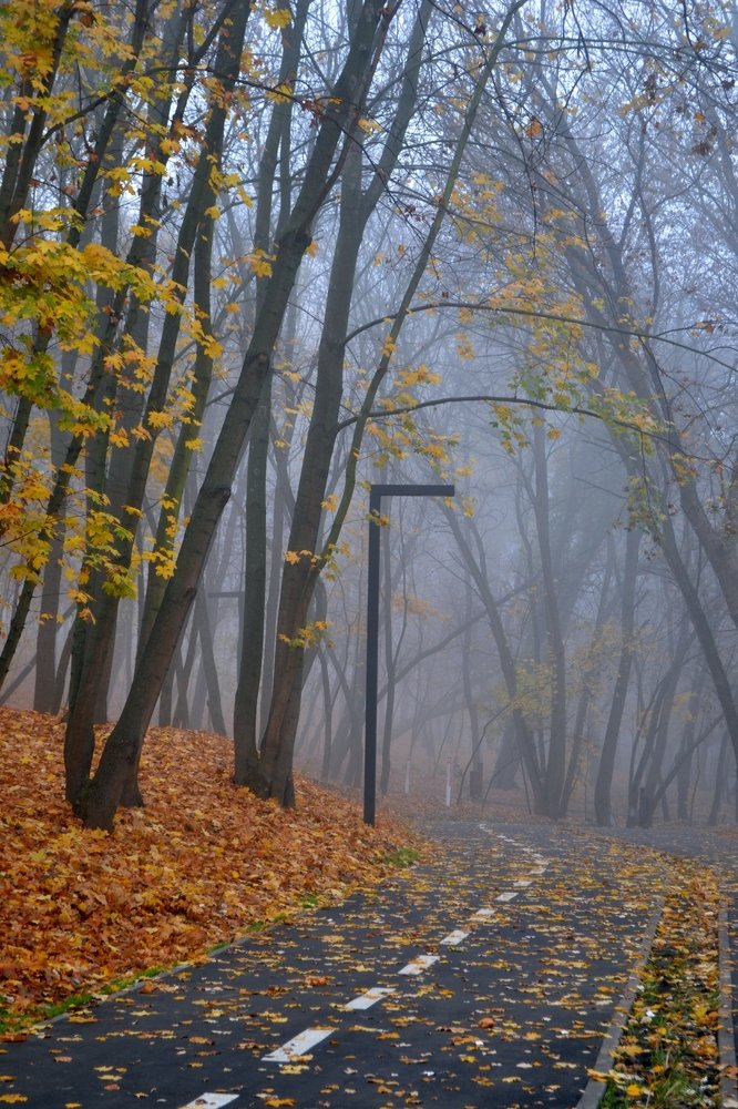 Photograph by Екатерина Ж.