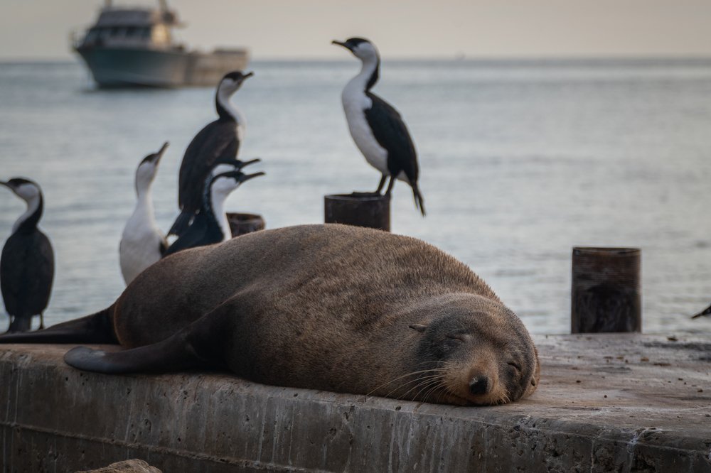 Photograph by Стоянова-Тимбукту Мария