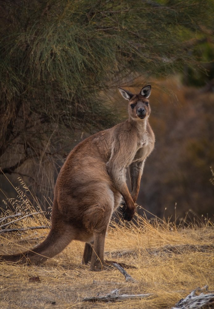 Photograph by Стоянова-Тимбукту Мария