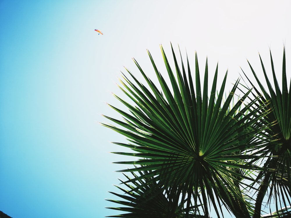 Из серии "Человек, покоривший и небо и море "