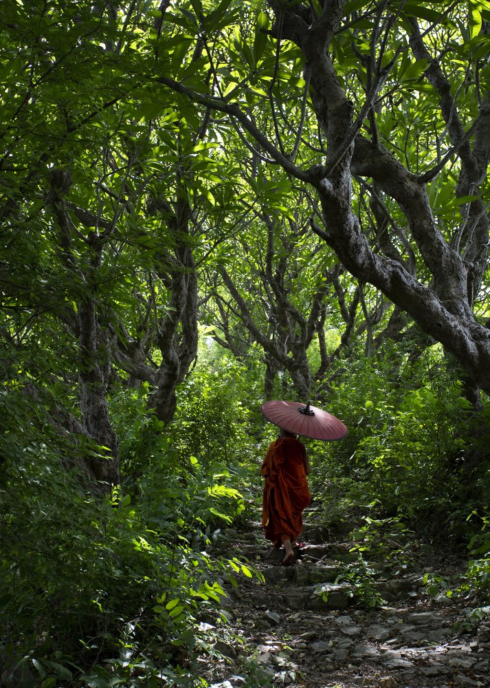 Photograph by Zaw Toe Myint