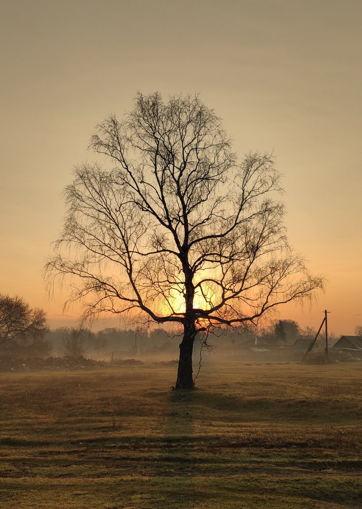 Photograph by Максим Двинин