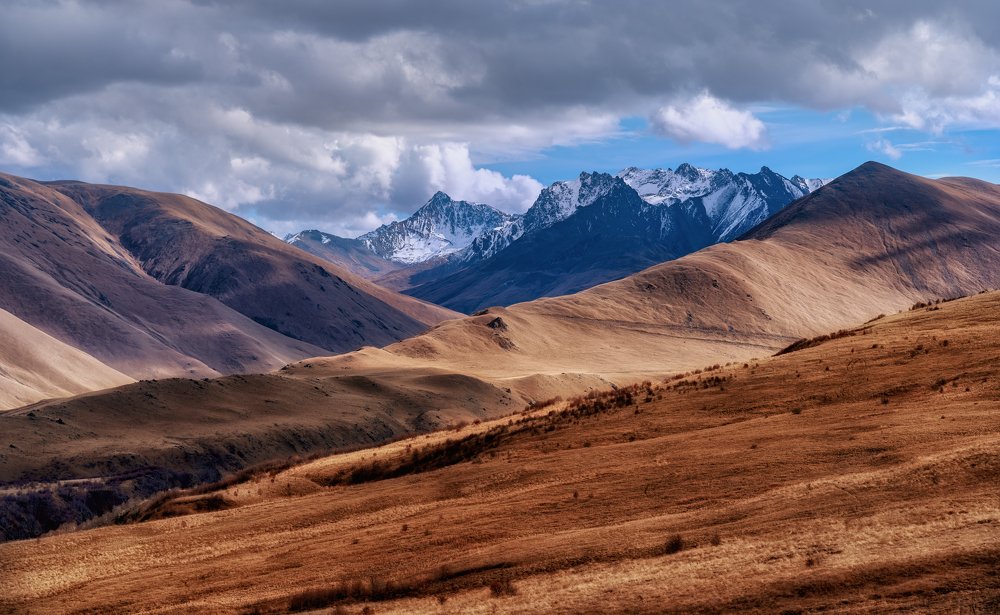 Пейзаж у обочины