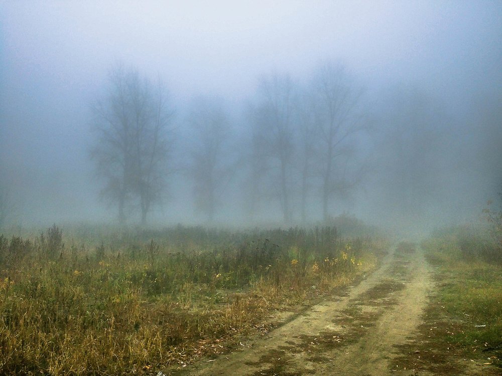 Photograph by mikhail goryachev