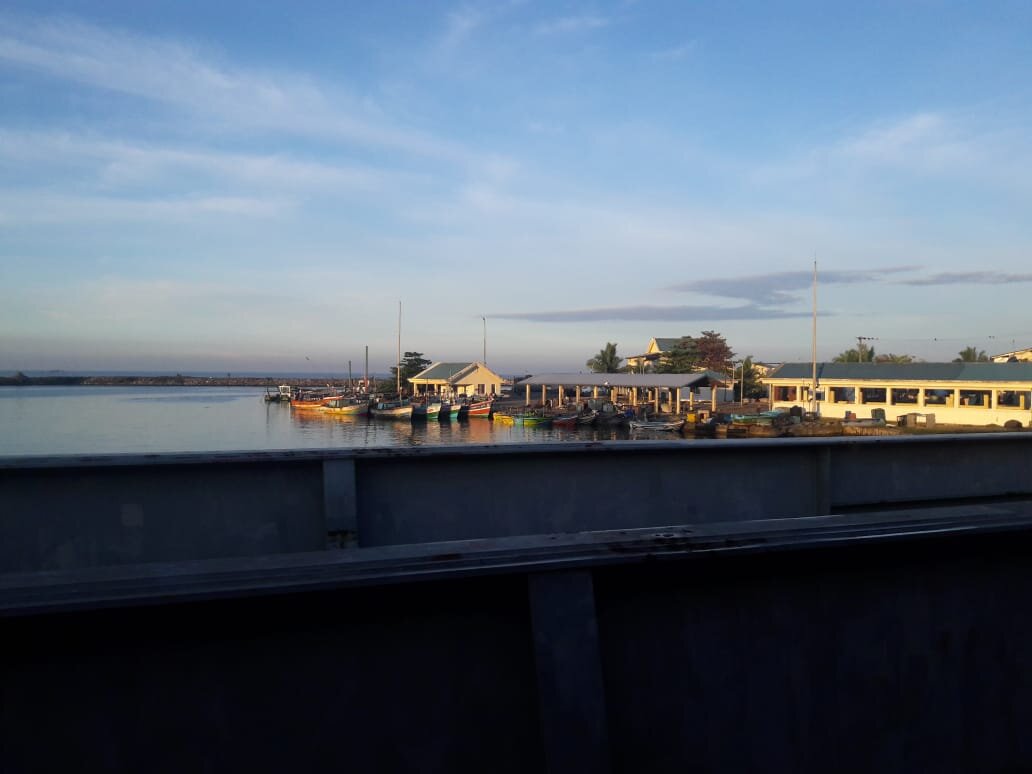 Photo #4693099