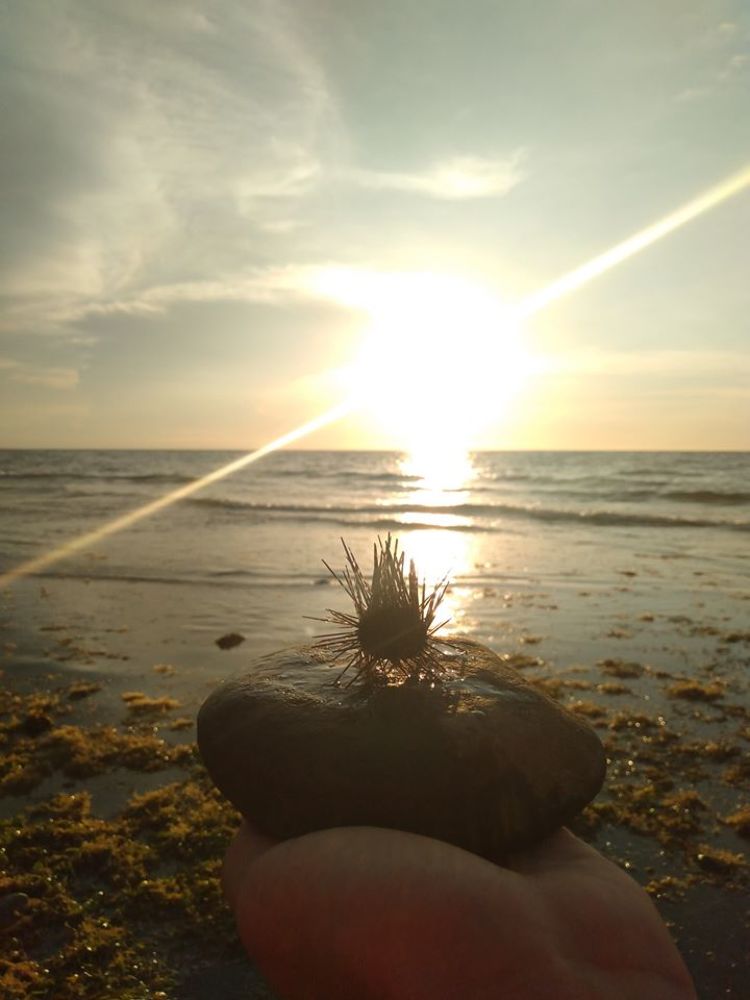 Photograph by David Kyle Padua