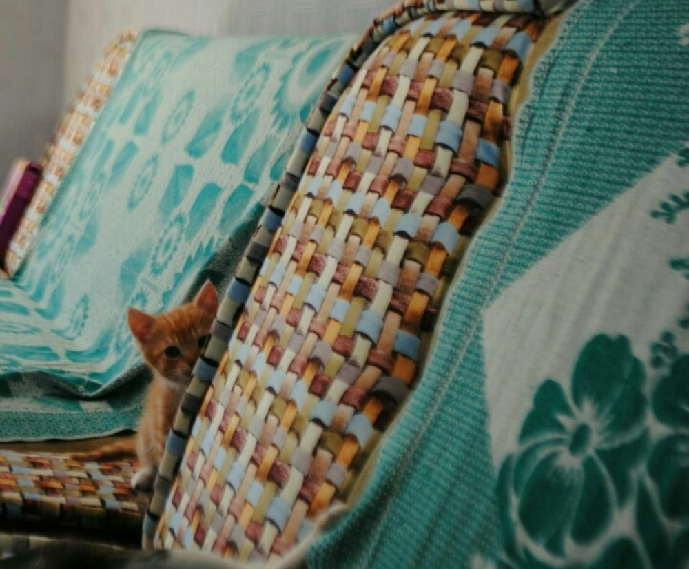 Photograph by Инна К.