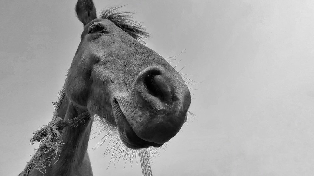 Is that a cigarette?