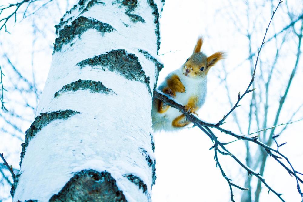 Photograph by Анжелика Трошина