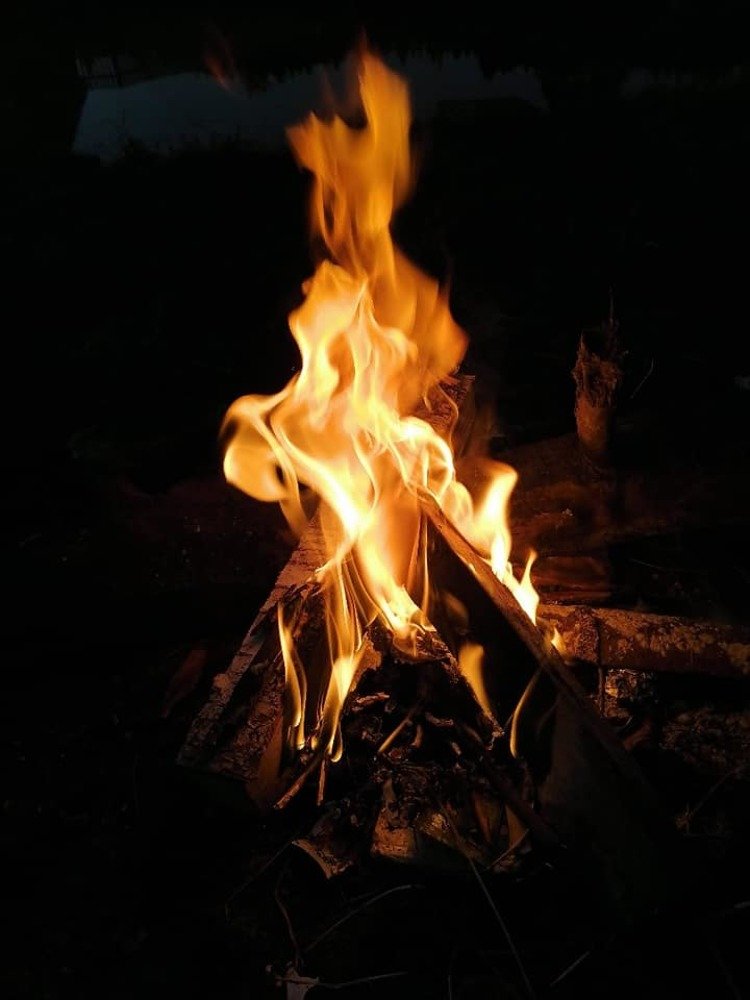 Photograph by Елена Малкова