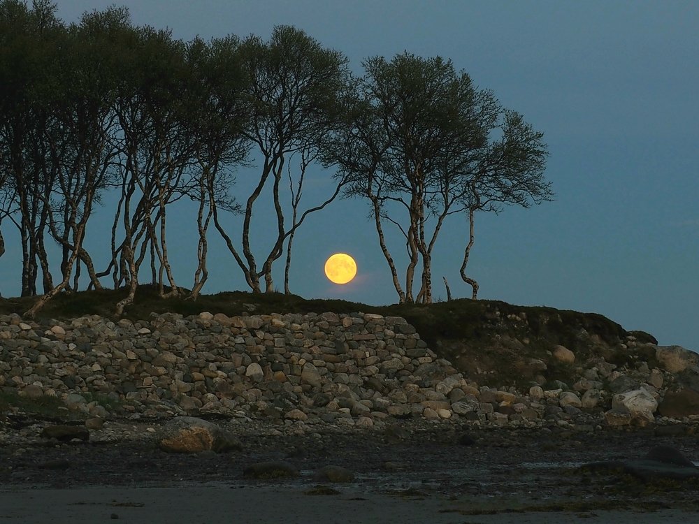 Photograph by Евгений Яковлев