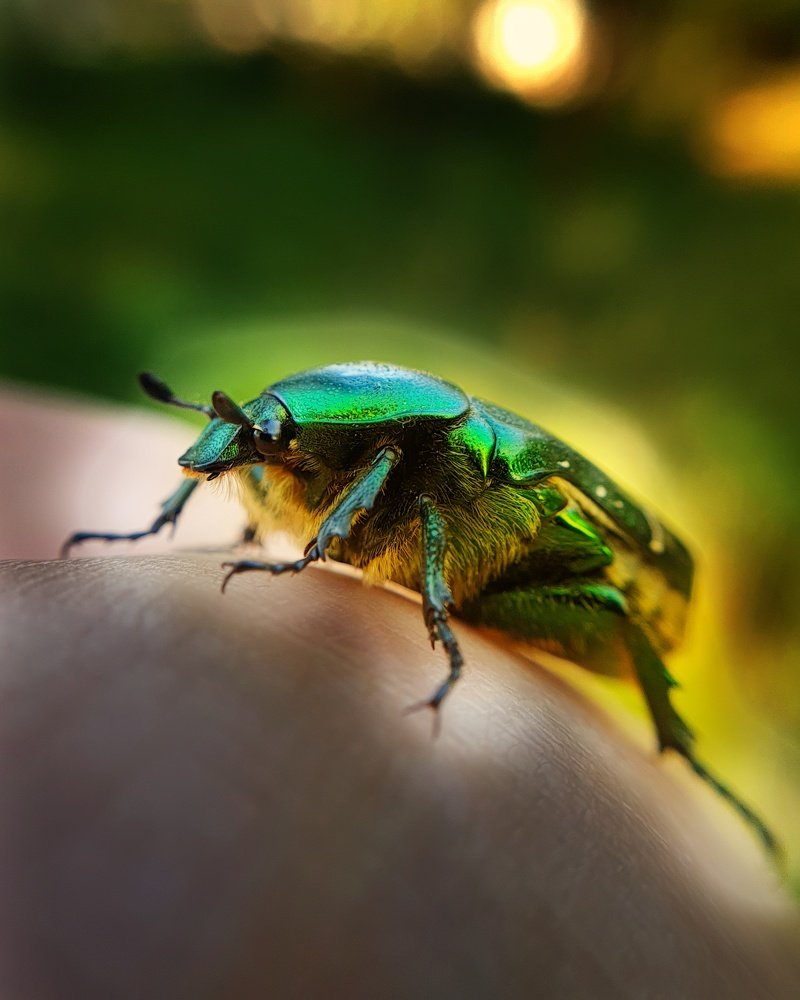 Photograph by Лариса Когтева