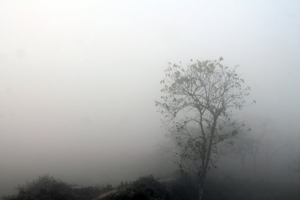 Landscape in the mist.