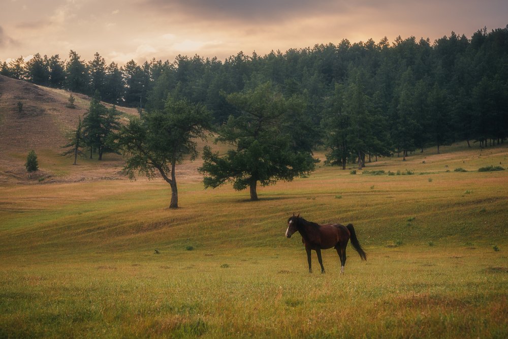 Photograph by Даниил Силантьев
