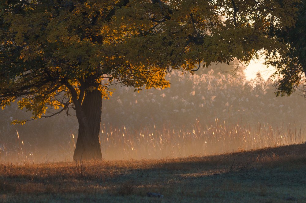 Photograph by Дмитрий Власов