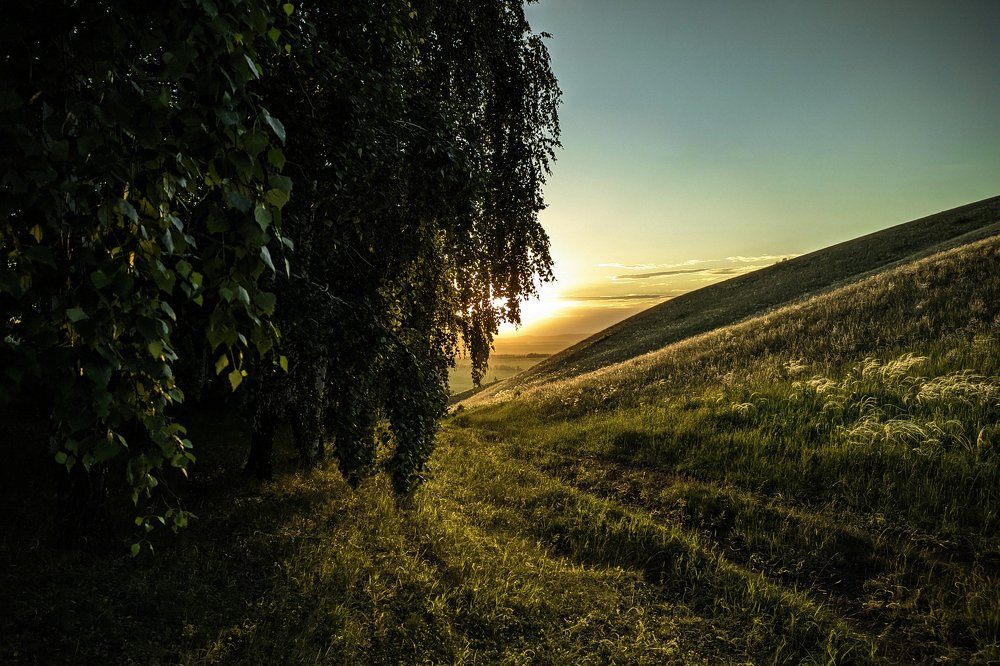 Photograph by Максим Лукманов