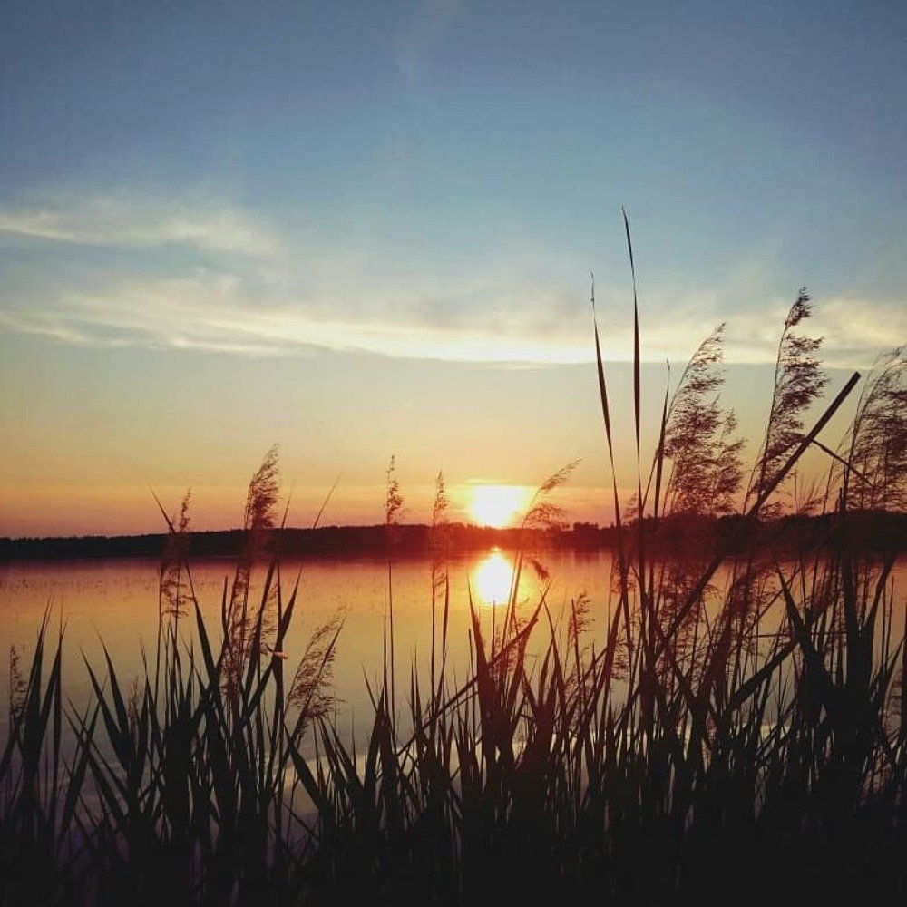 Photograph by Юлия Гагарина