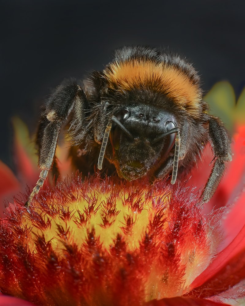 Photograph by Алексей Козлов