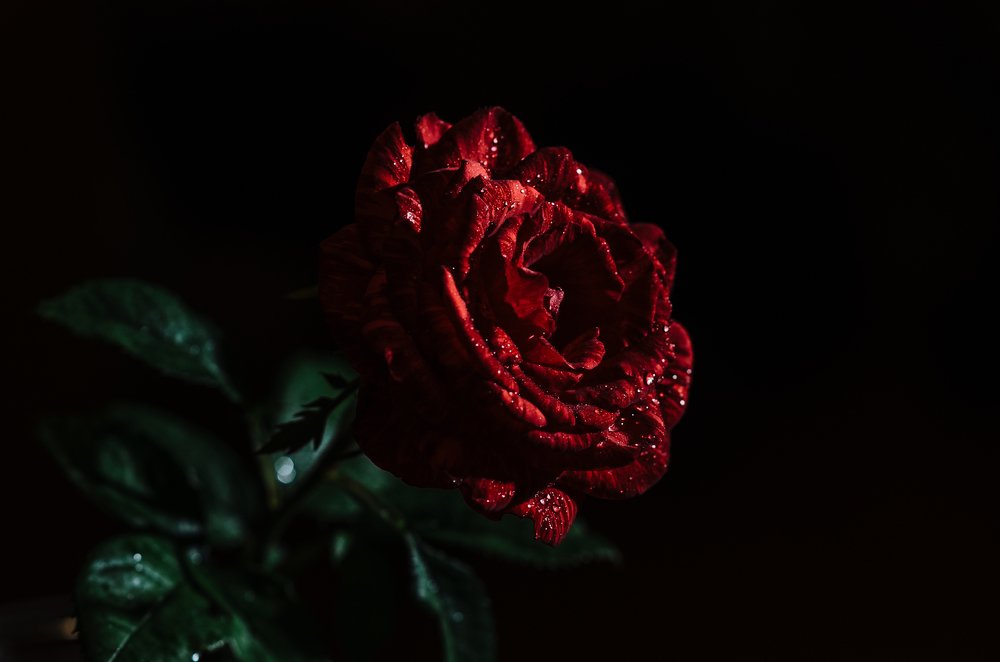 Photograph by Елена