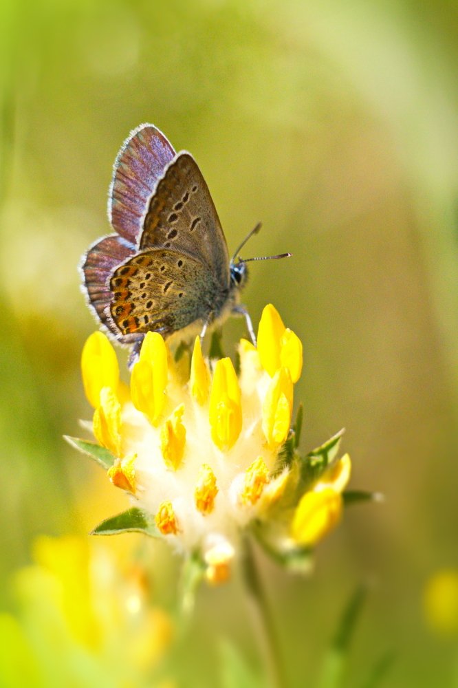 Photograph by Евгений Михеев