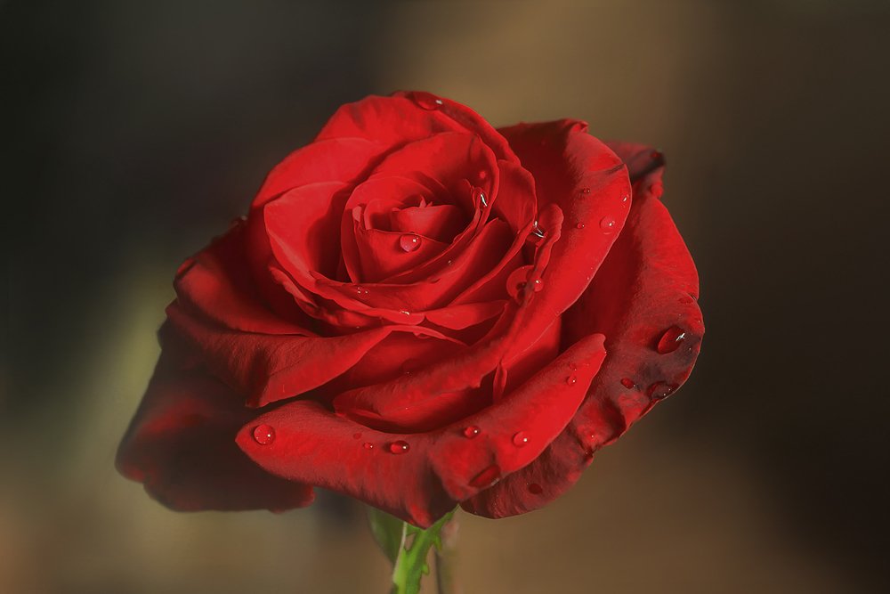 Photograph by Басыров Валерий