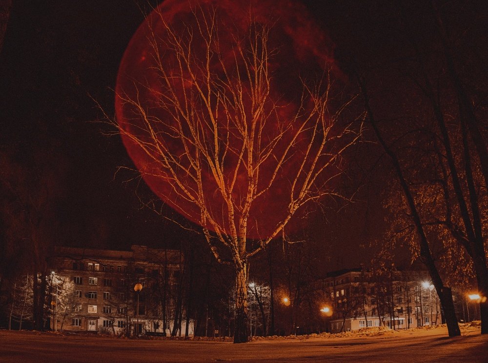 Photograph by Рымаров Александр