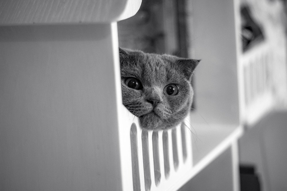 Photograph by Диана Лукашевич