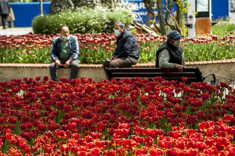 Photograph by DAMOUN POURNEMATI