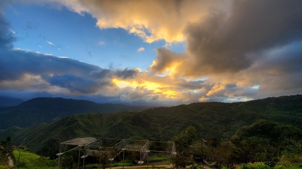 Photo #4693653
